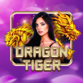 Dragon Tiger on phdteam